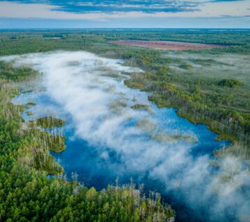 Mežsaimniecība latvijā